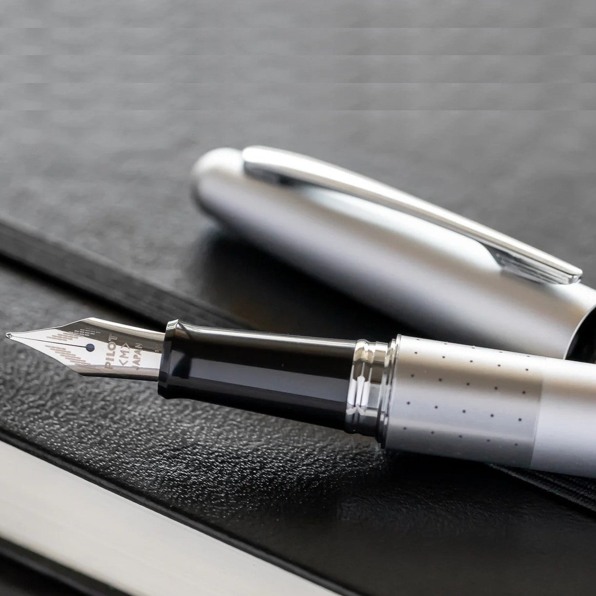 Namiki Metropolitan Fountain Pen, Silver Barrel, Dots Design, Medium Nib, Black Ink (91105)
