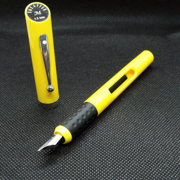 Sheaffer 93401 Viewpoint Calligraphy Pen, Medium Point