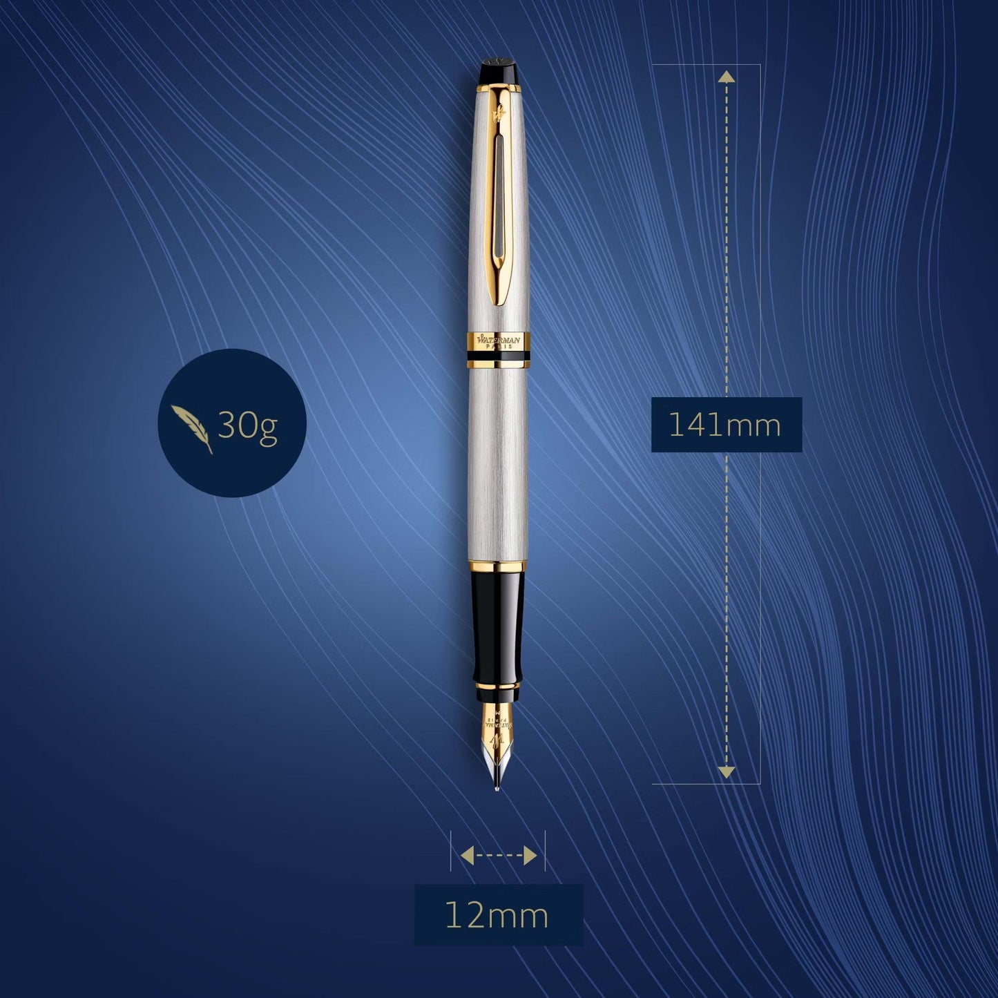 Waterman Expert3 SS GT Fountain Pen M GB