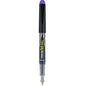 Pilot Sv-4B Varsity Fountain Pen, Disposable, Purple