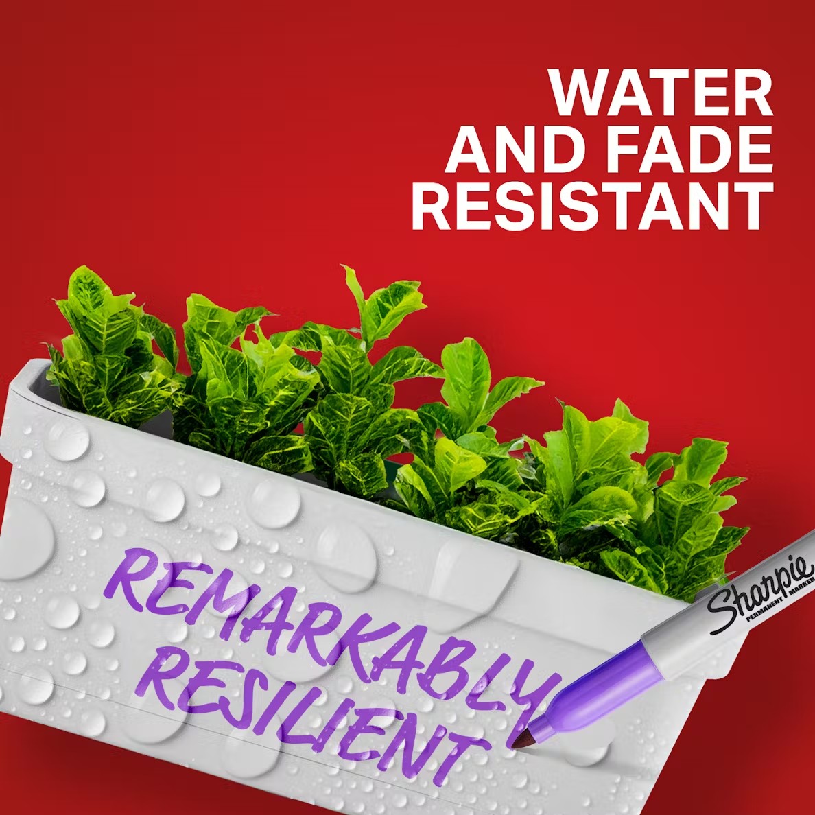 Sharpie 1927350 Fine Electro Pop 24cd