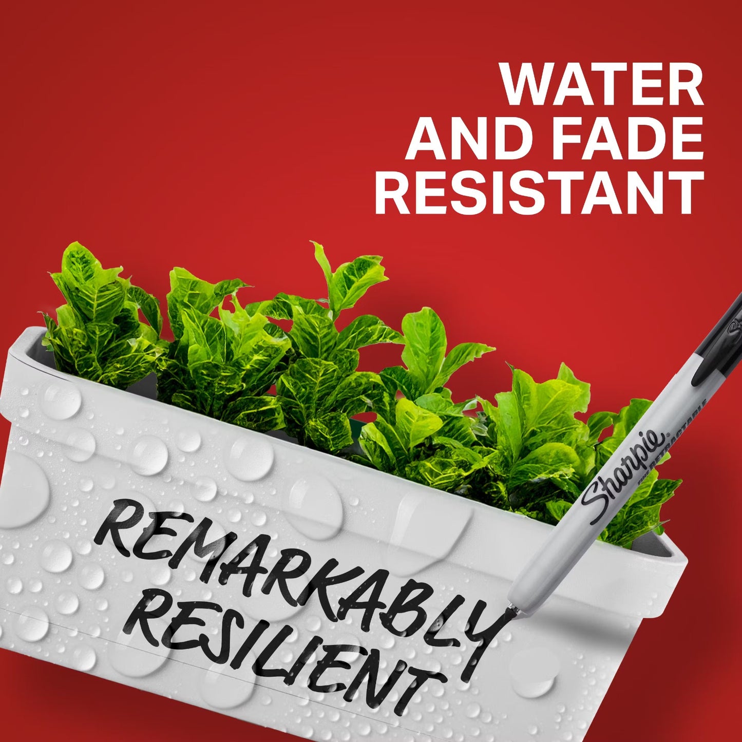 Sharpie Retractable Fine 2 Card Black