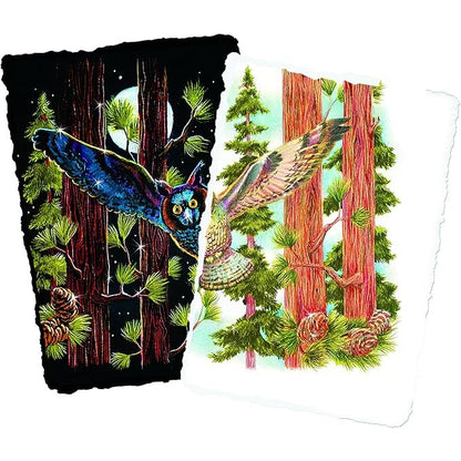 Staedtler 888 C12A6 Staedtler Paints,Watercolor,12pk